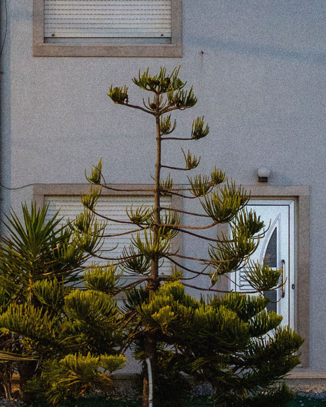 Lorem ipsum dolorem, Zurich, Switzerland