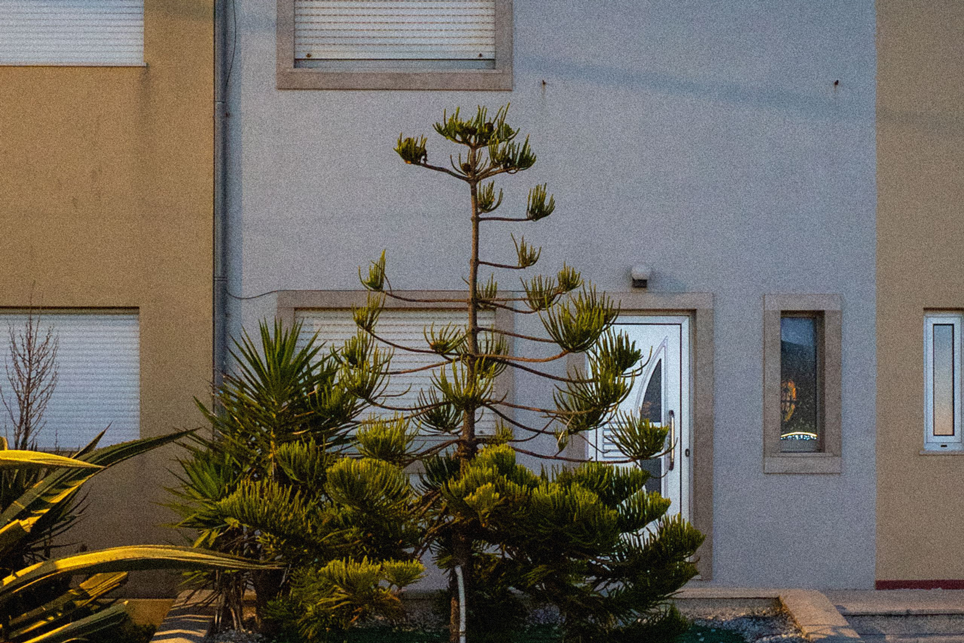 Lorem ipsum dolorem, Zurich, Switzerland